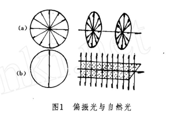 偏振光与自然光